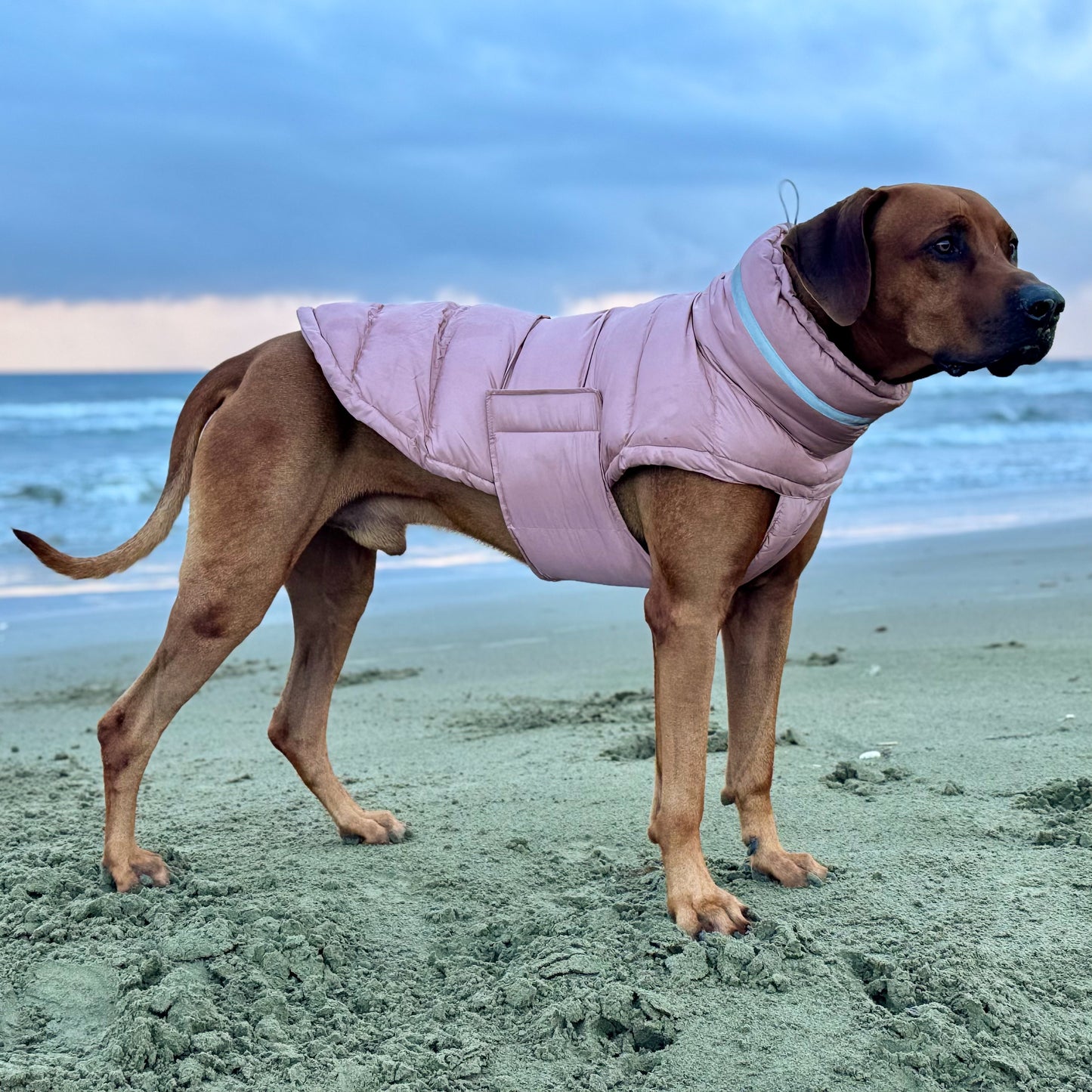 ColdShield - Water Resistant Coat