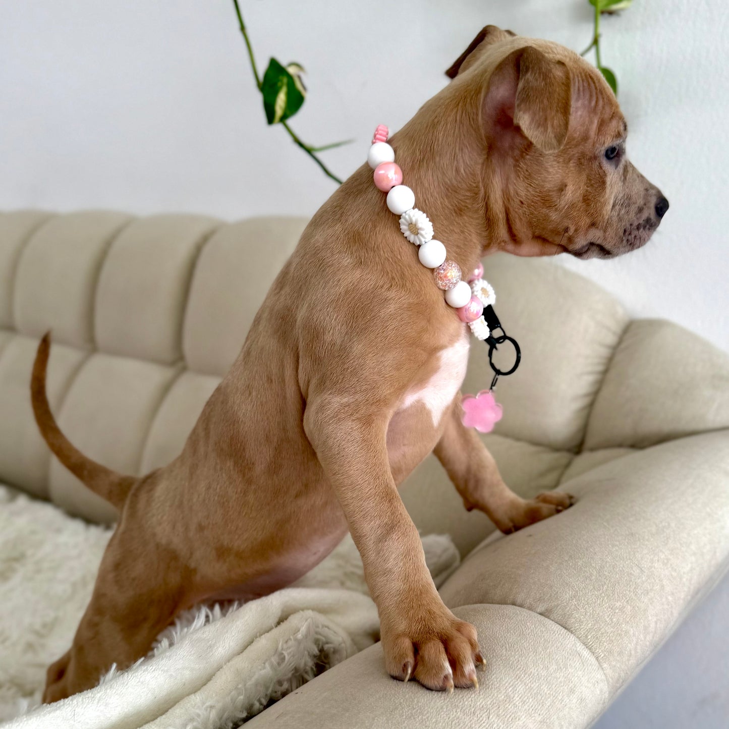 Flower Girl
