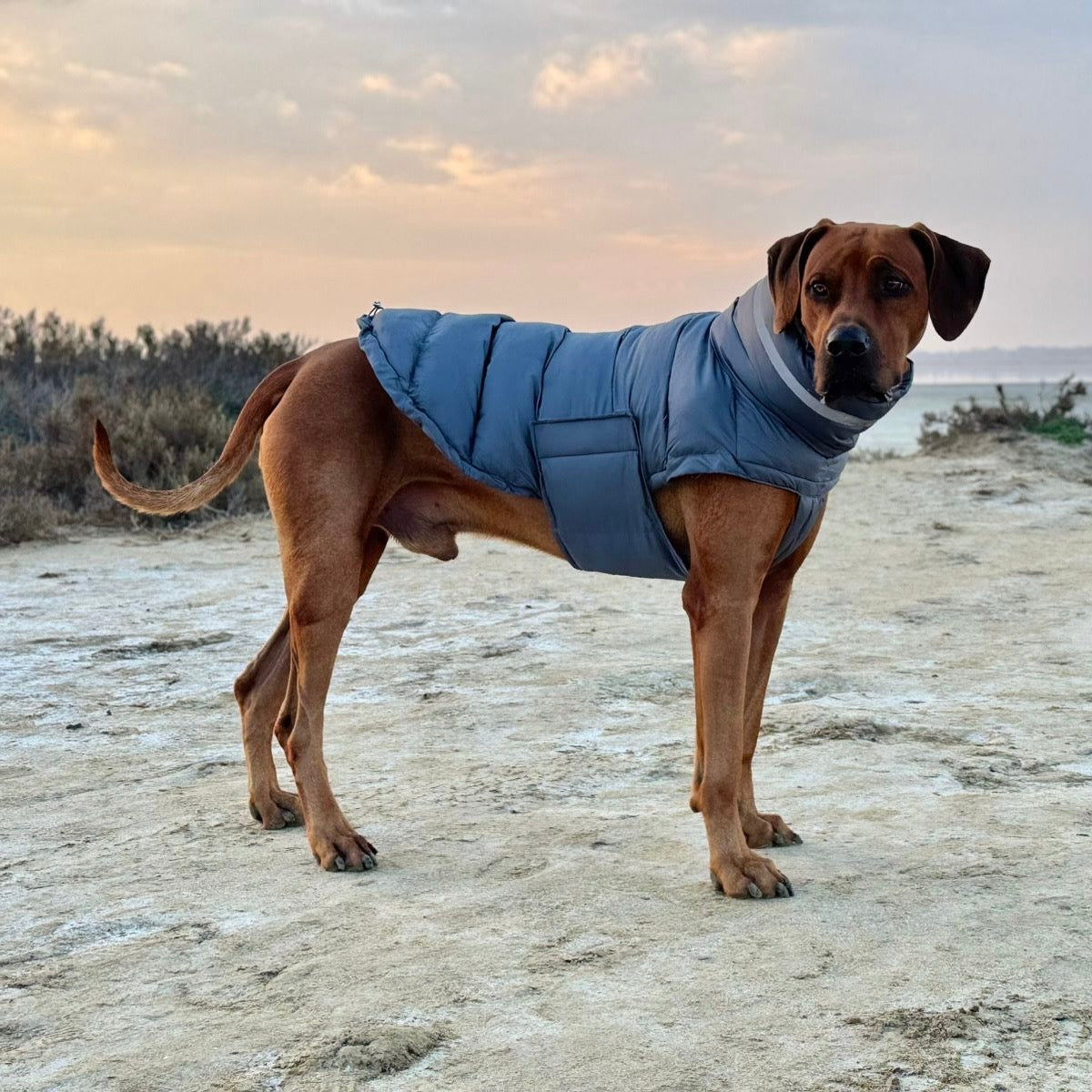 ColdShield - Water Resistant Coat