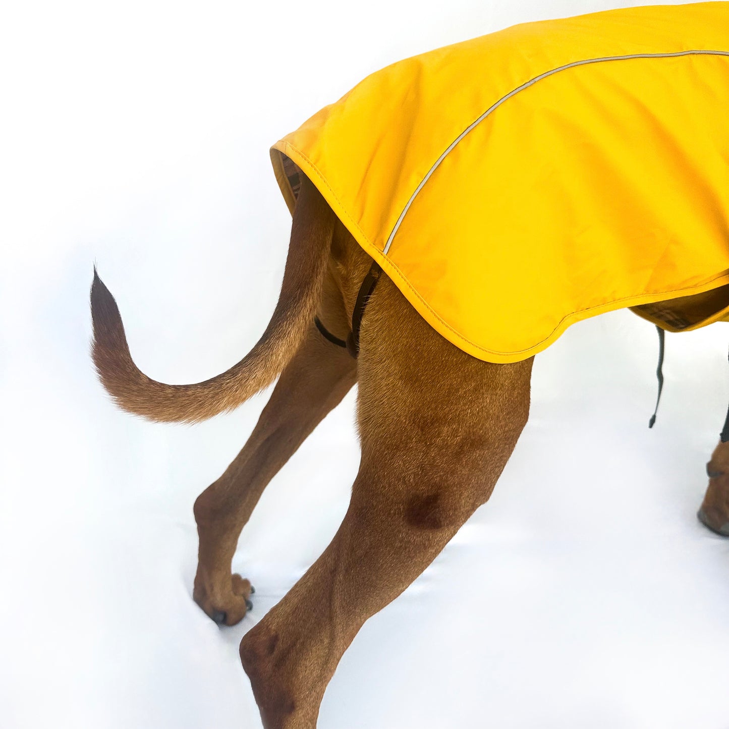 Rain Jacket - Water Resistent Jacket