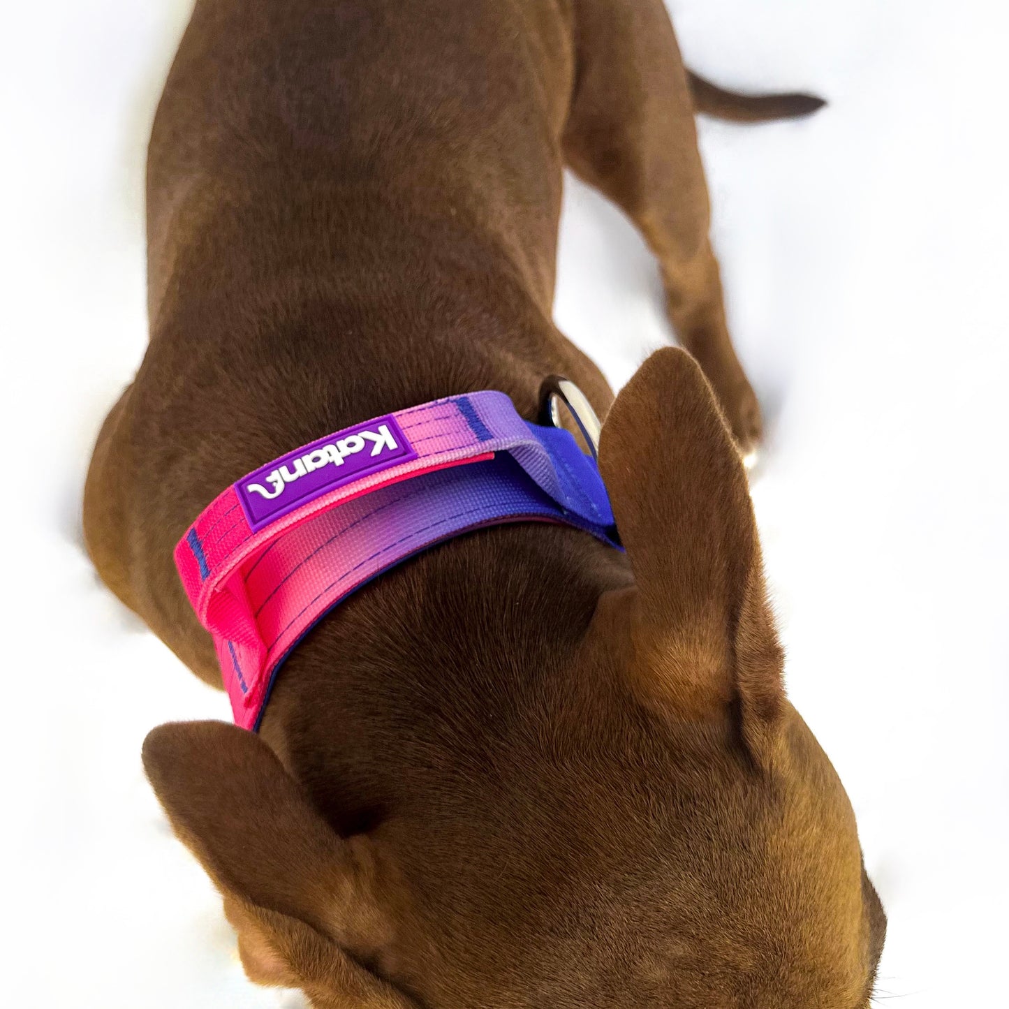 Gradient Collar
