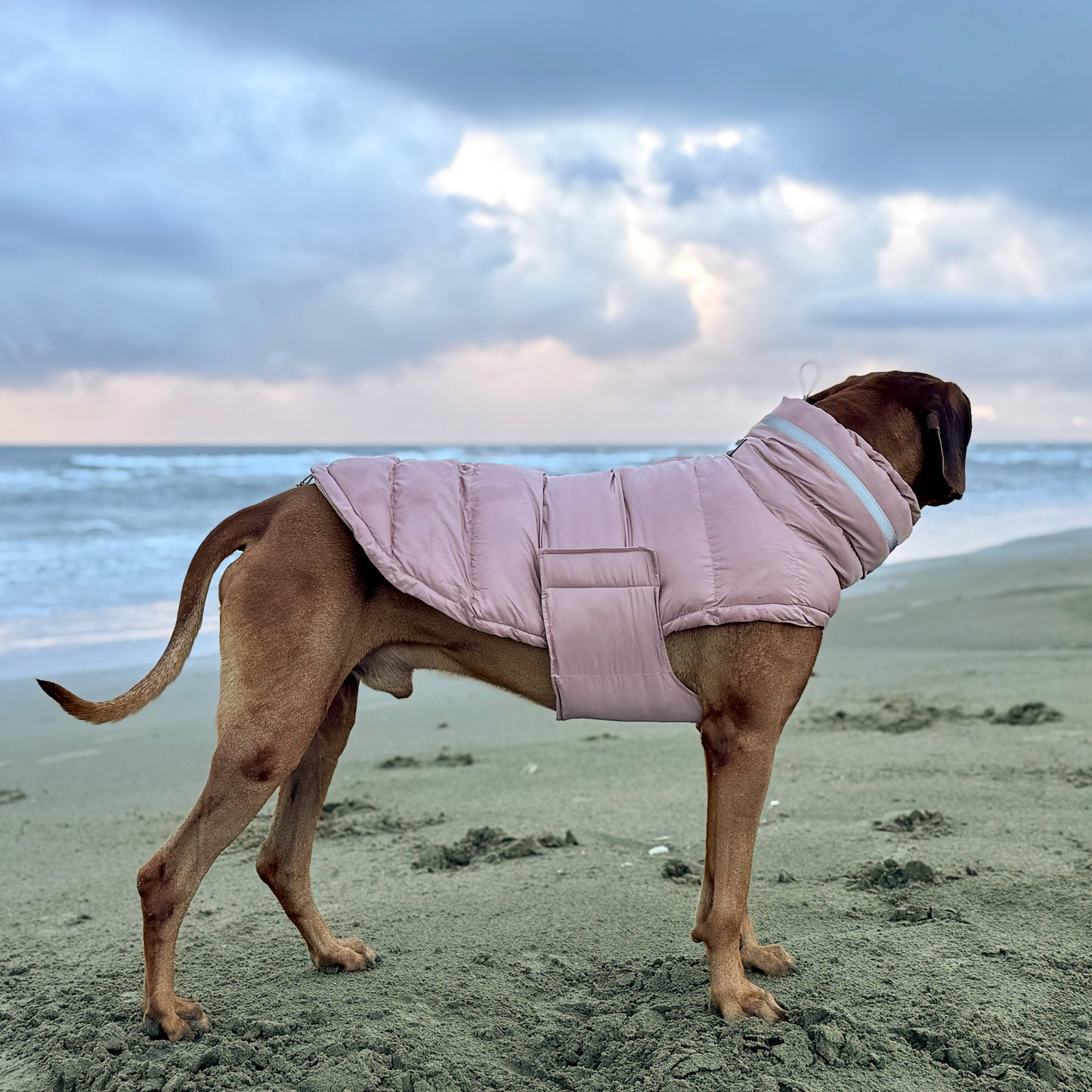 ColdShield - Water Resistant Coat