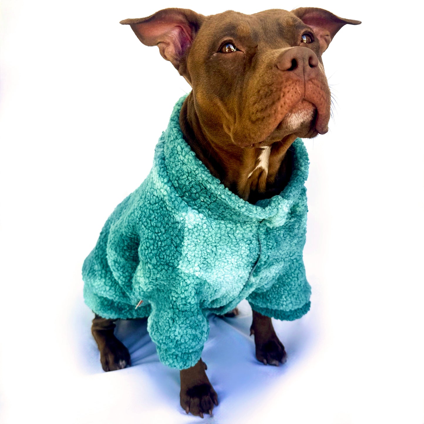 CuddleWear Hoodie