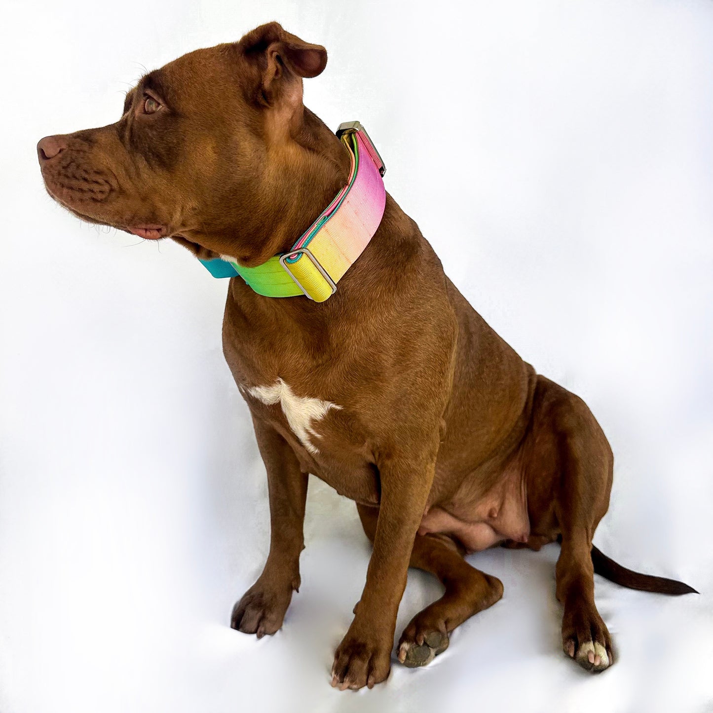 Gradient Collar