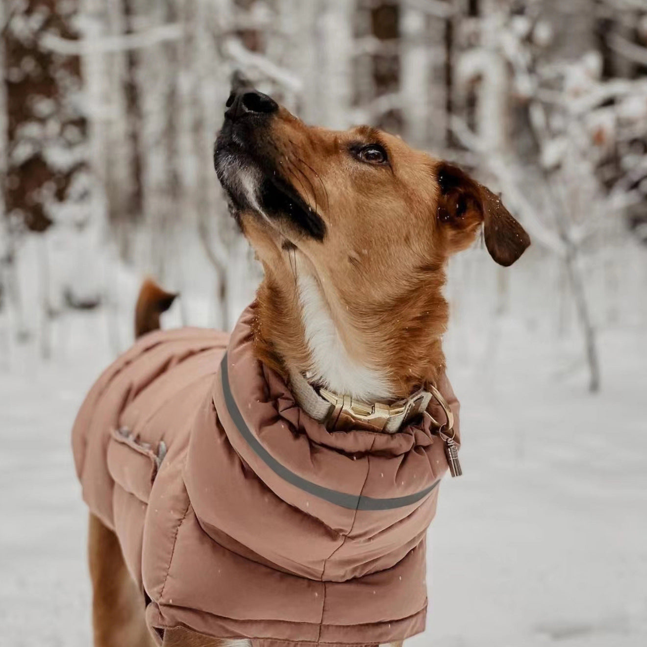 ColdShield - Water Resistant Coat