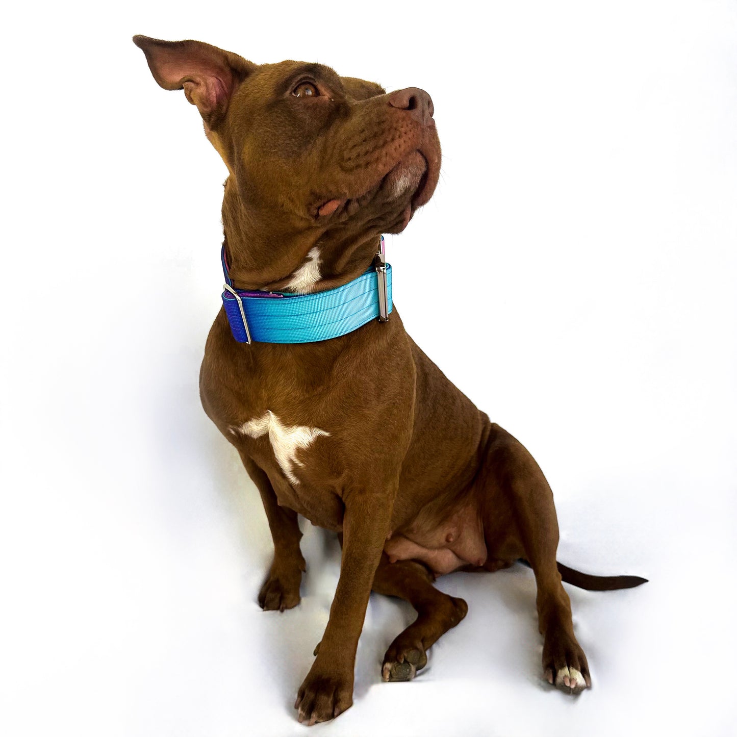 Gradient Collar