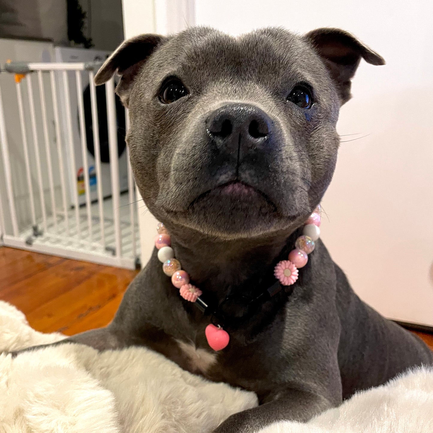 Flower Girl