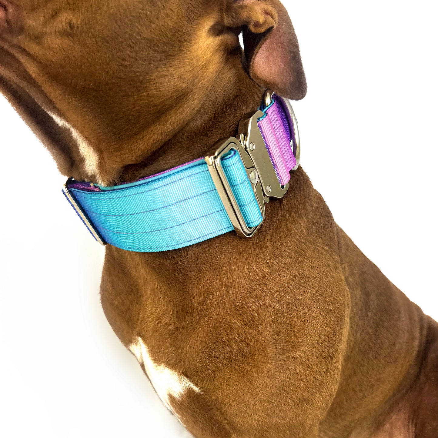 Gradient Collar