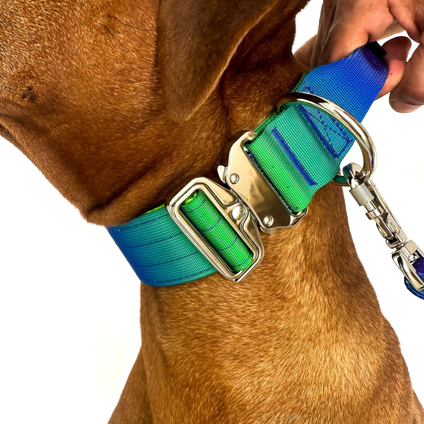 Gradient Collar