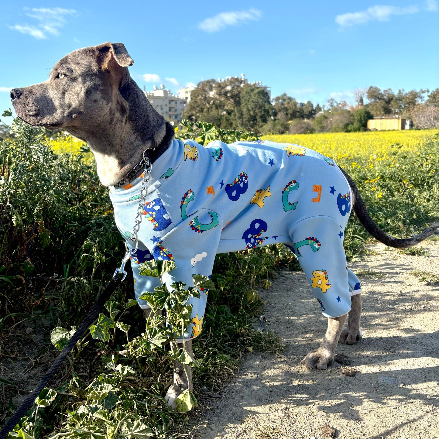 CuddleWear PJ