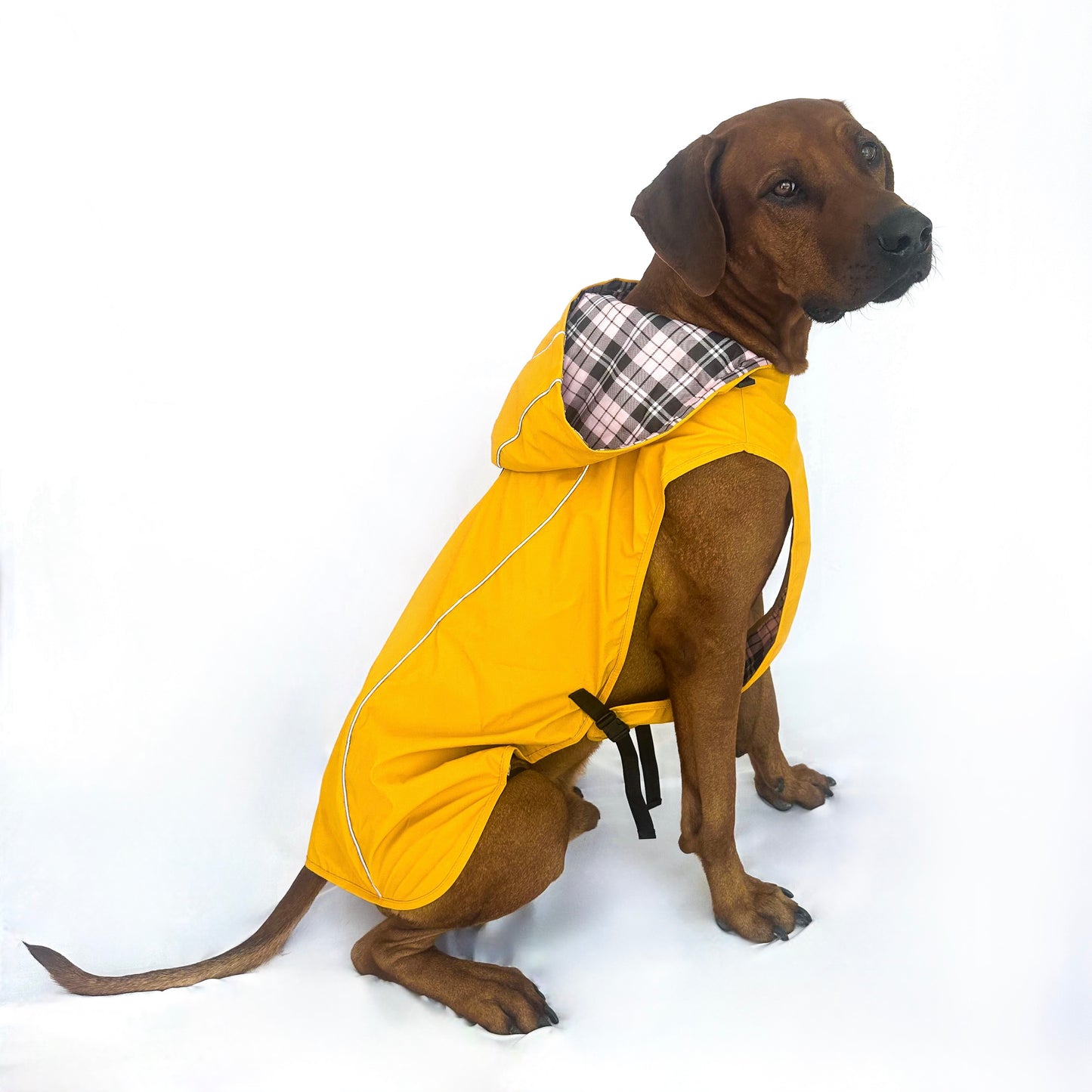 Rain Jacket - Water Resistent Jacket