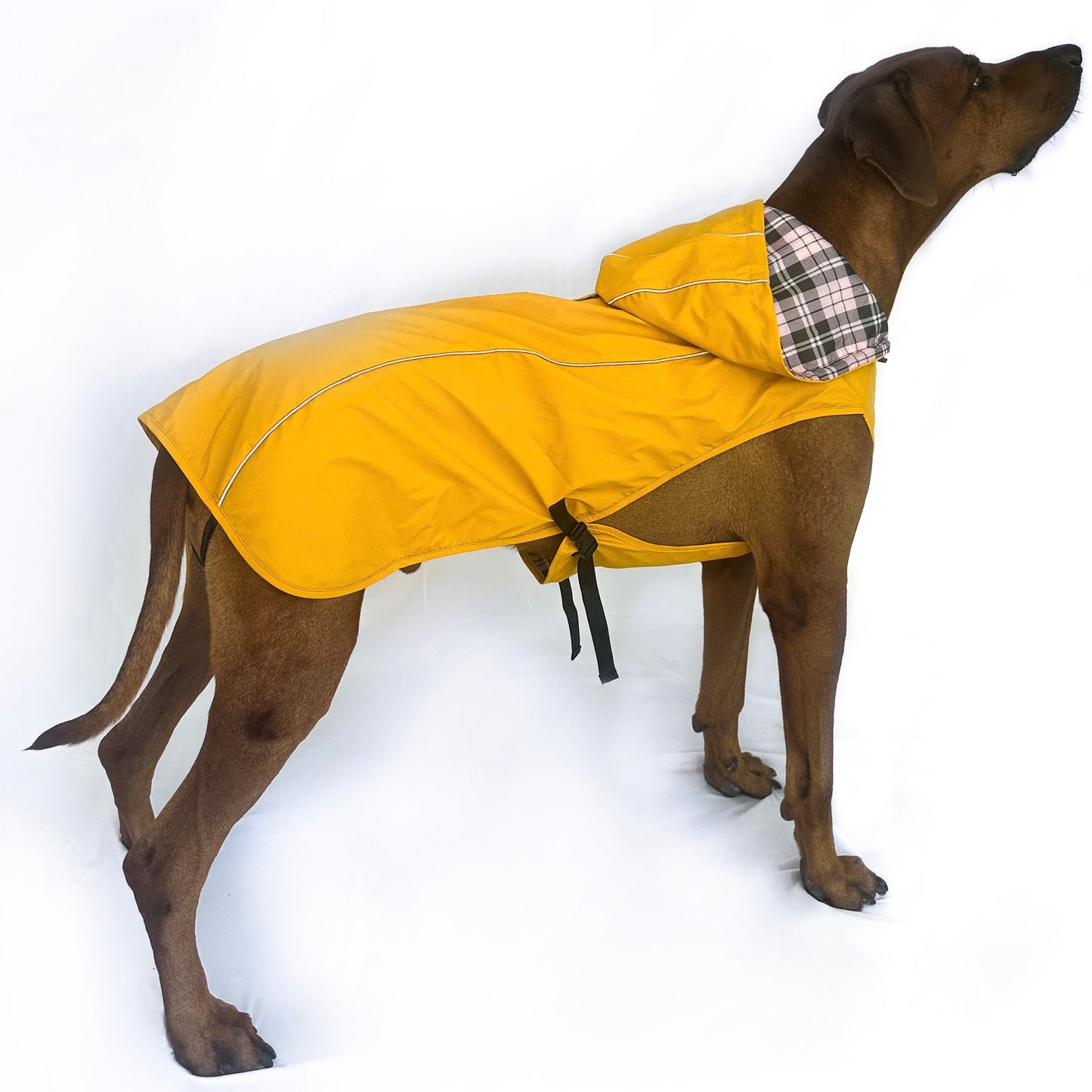 Rain Jacket - Water Resistent Jacket