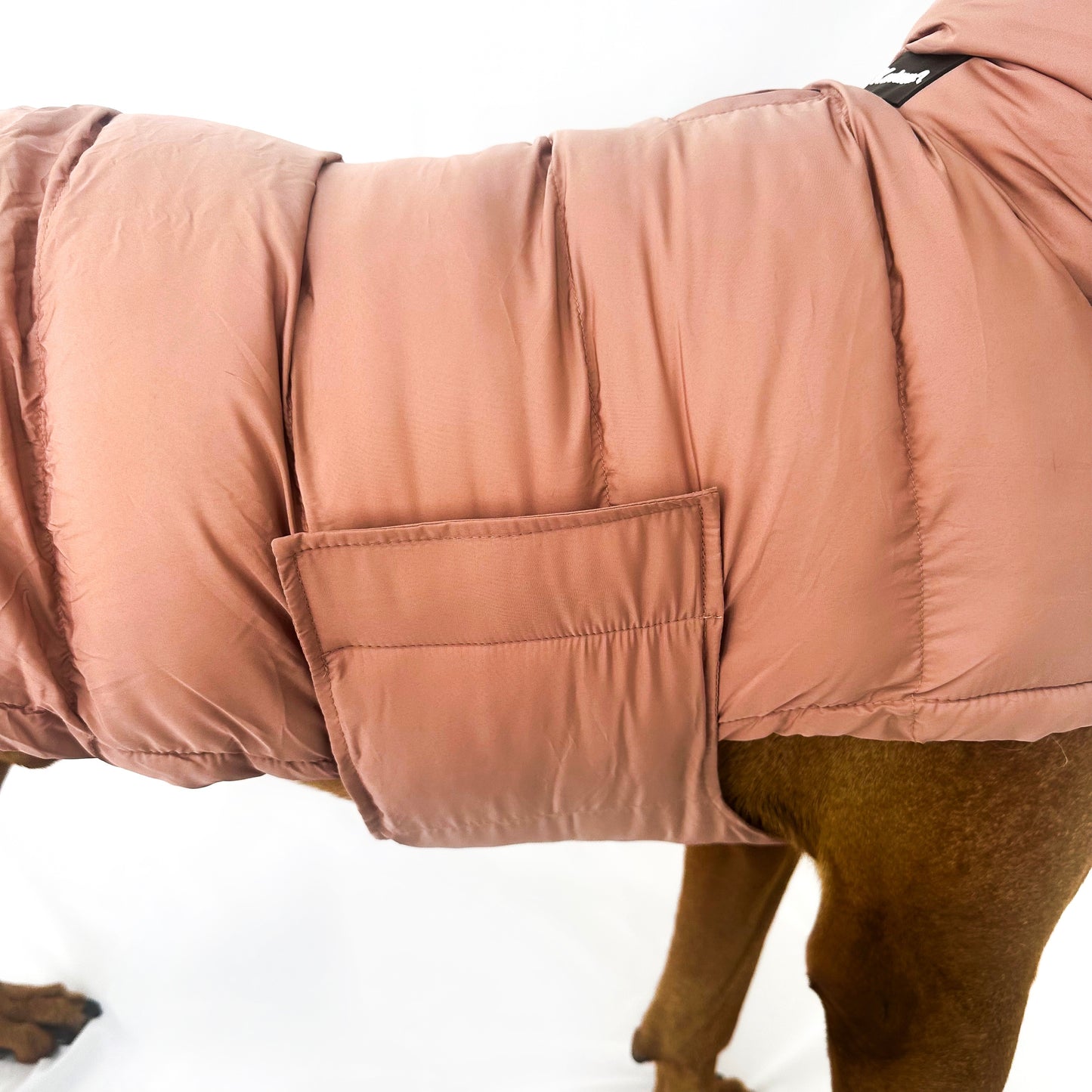 ColdShield - Water Resistant Coat