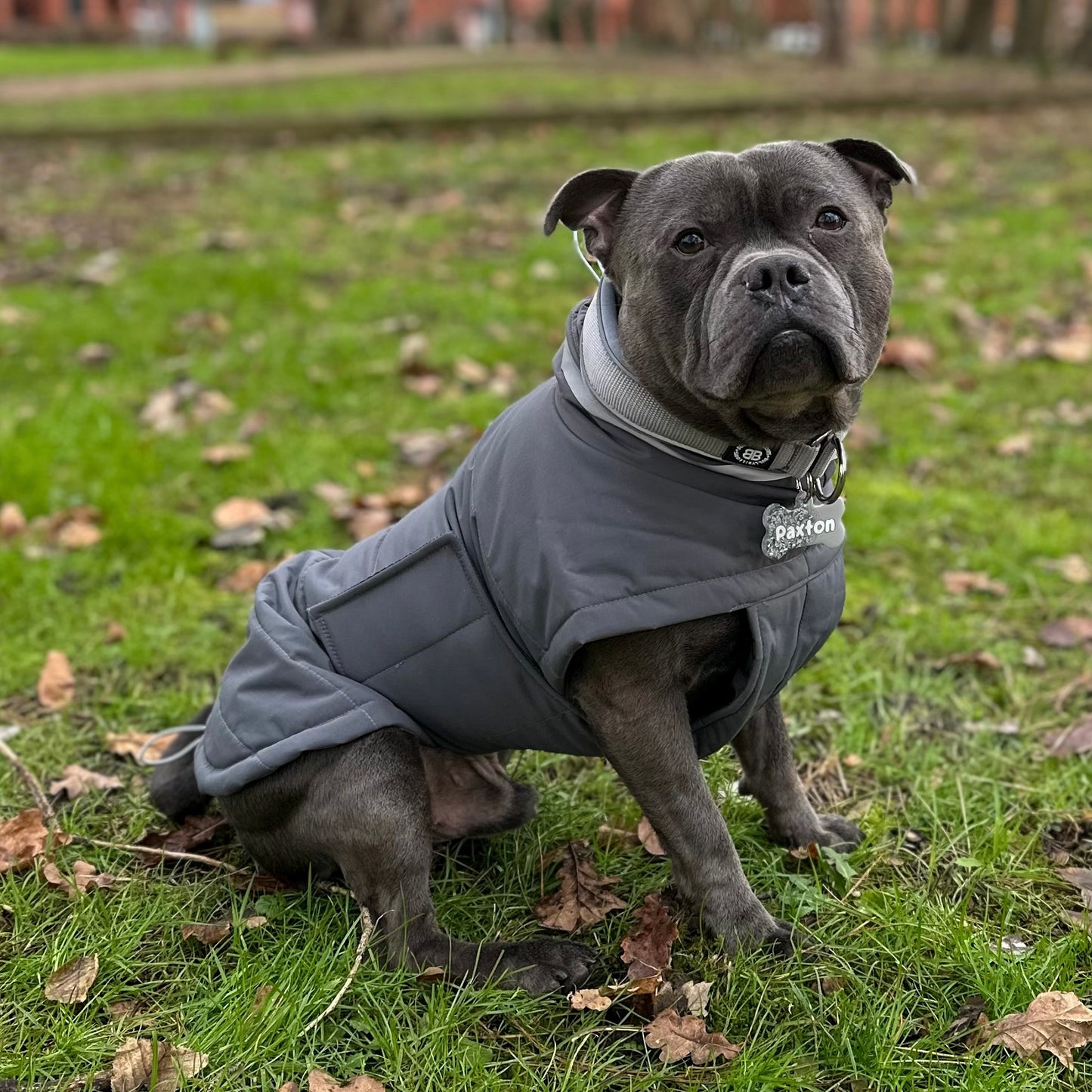 ColdShield - Water Resistant Coat