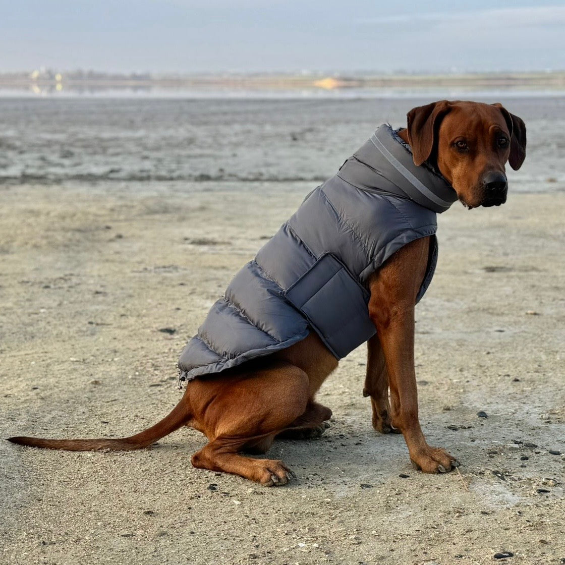 ColdShield - Water Resistant Coat
