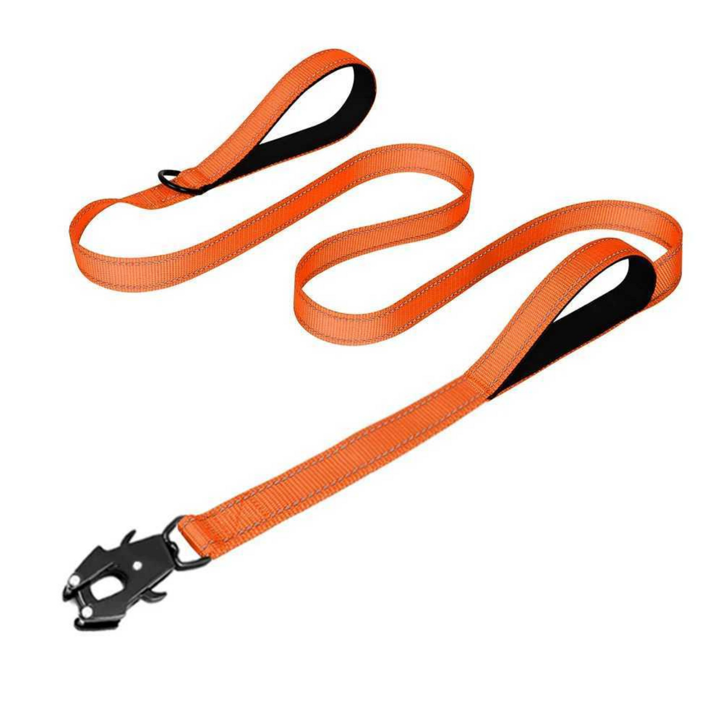 Double Handle Leash