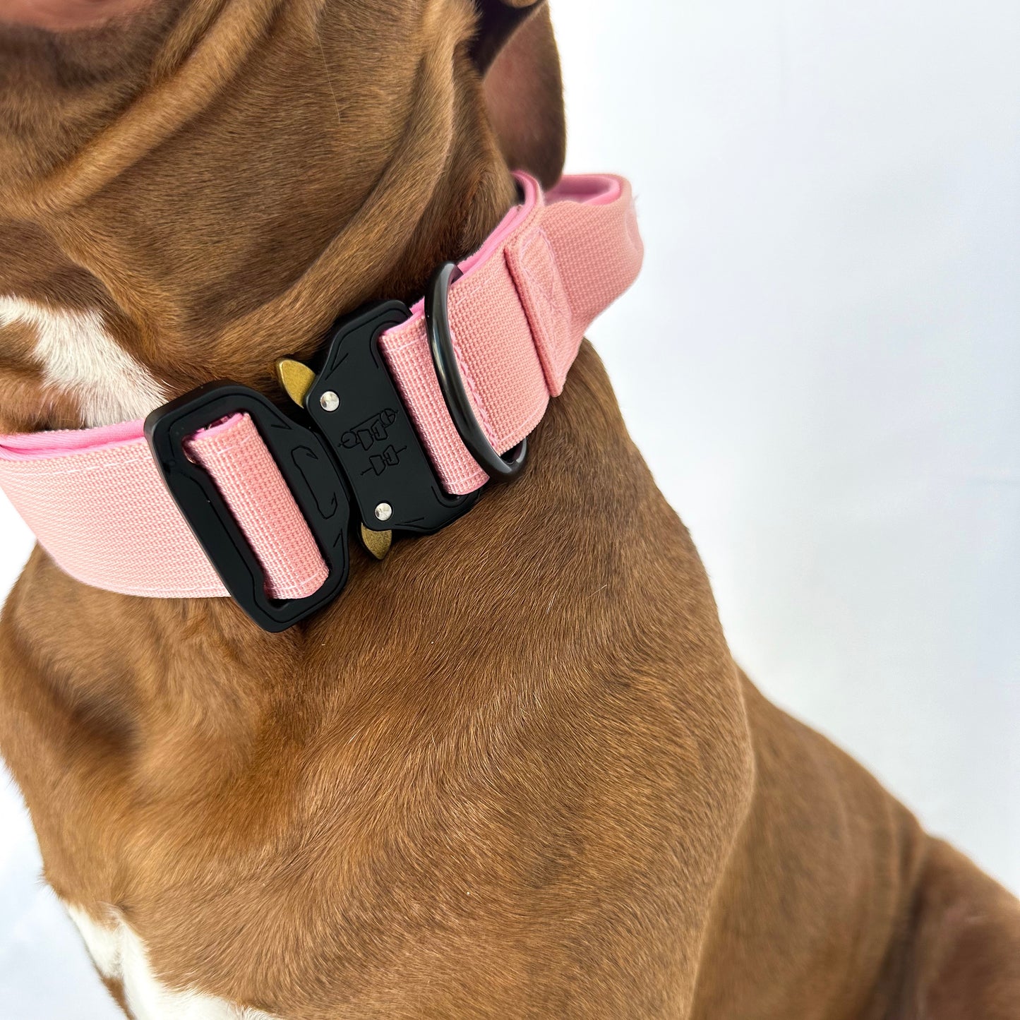 Combat Collar