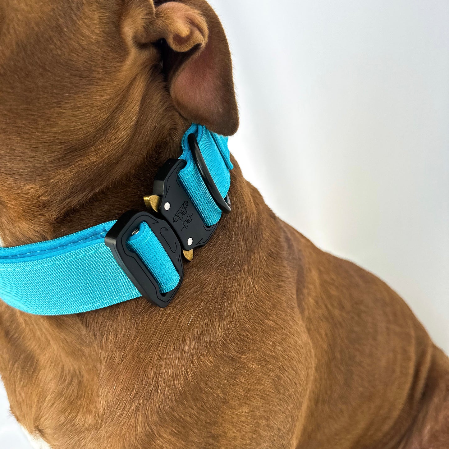 Combat Collar