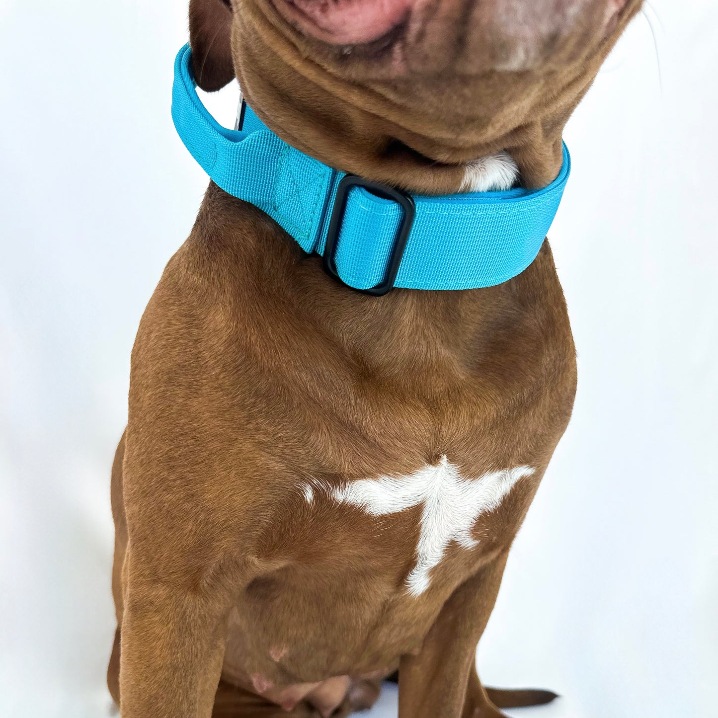 Combat Collar