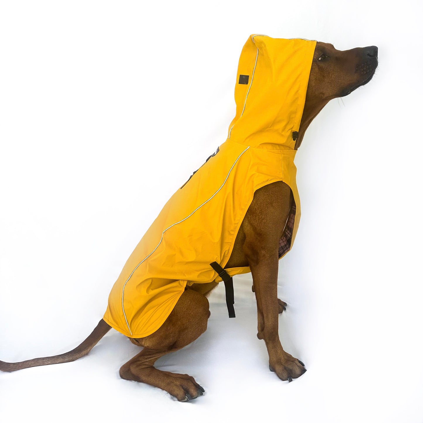 Rain Jacket - Water Resistent Jacket