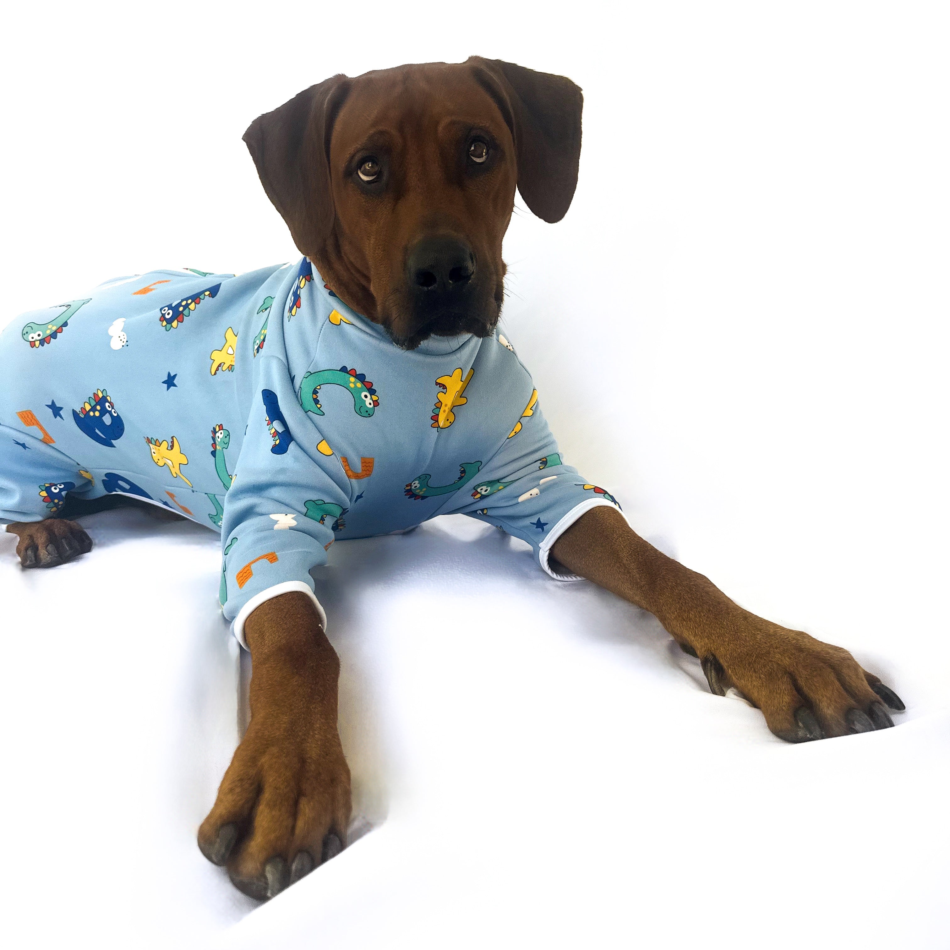 BigPaw PJs – KatanaPaws
