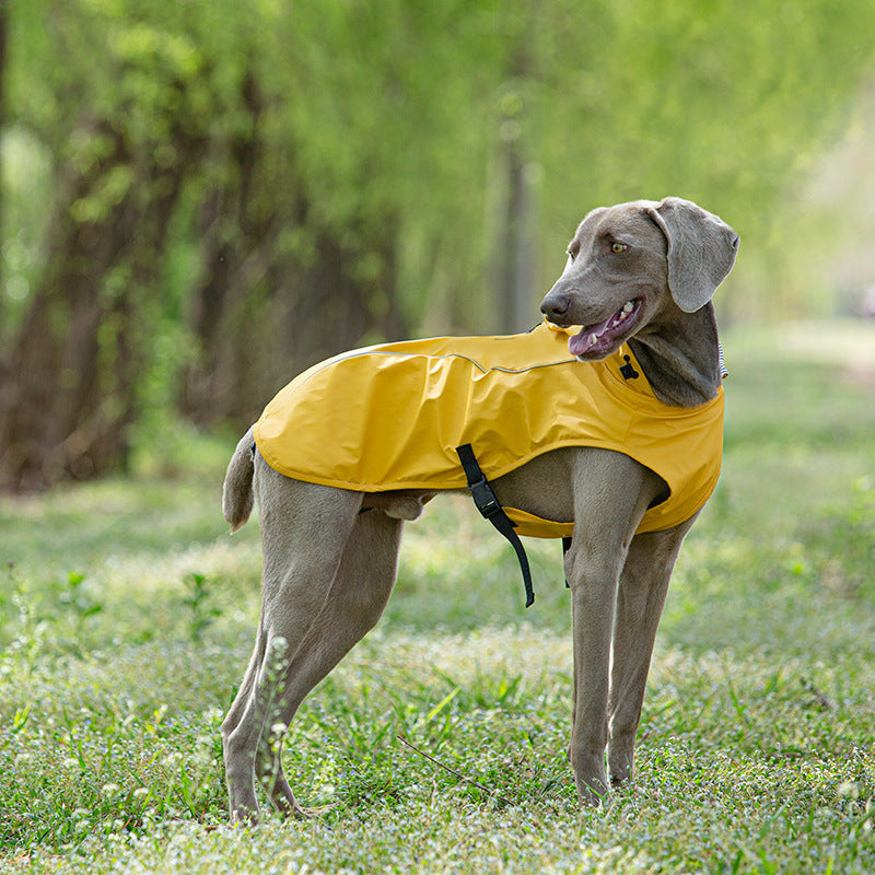 Rain Coat