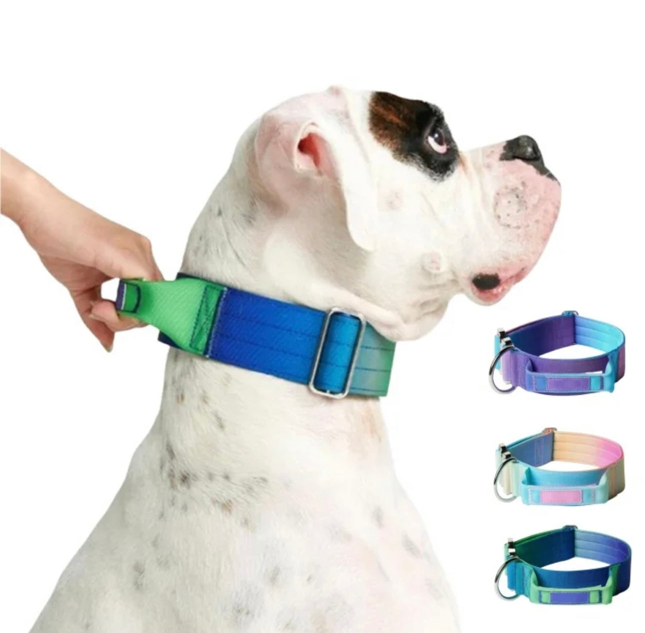 Comfort Control Collar Gradient Set