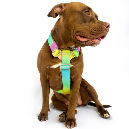 Gradient Harness