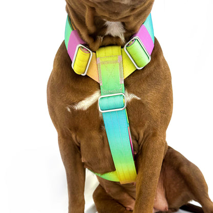 Gradient Harness