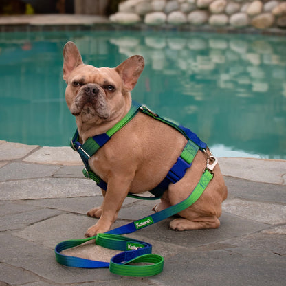 Harness & Lead Kit