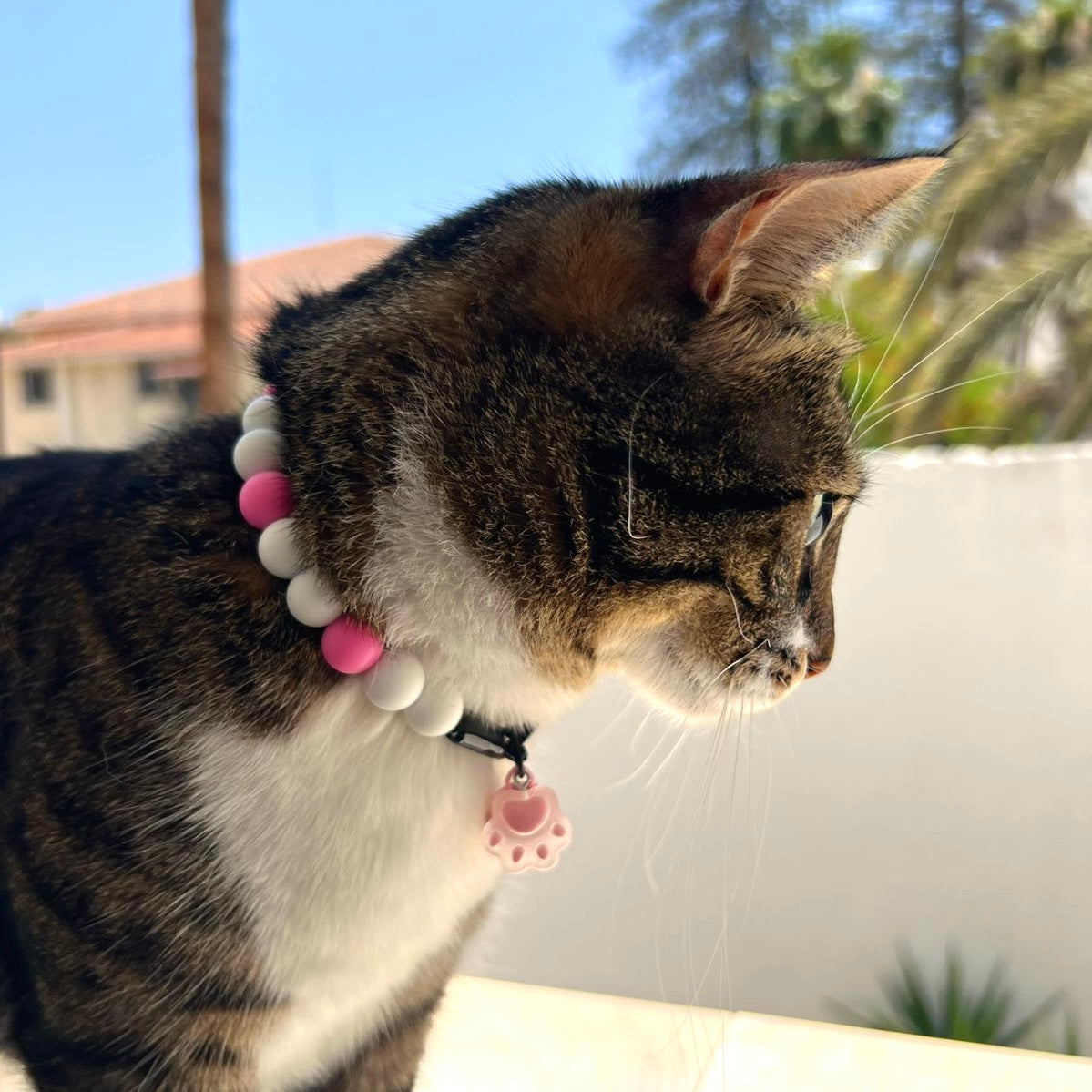 Beaded Necklace for Cats