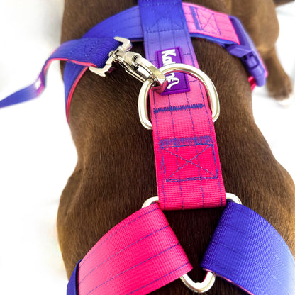 Harness & Lead Kit