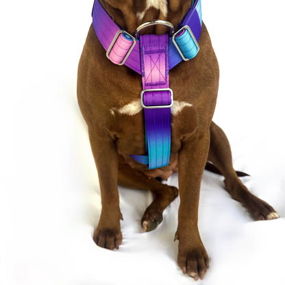 Gradient Harness