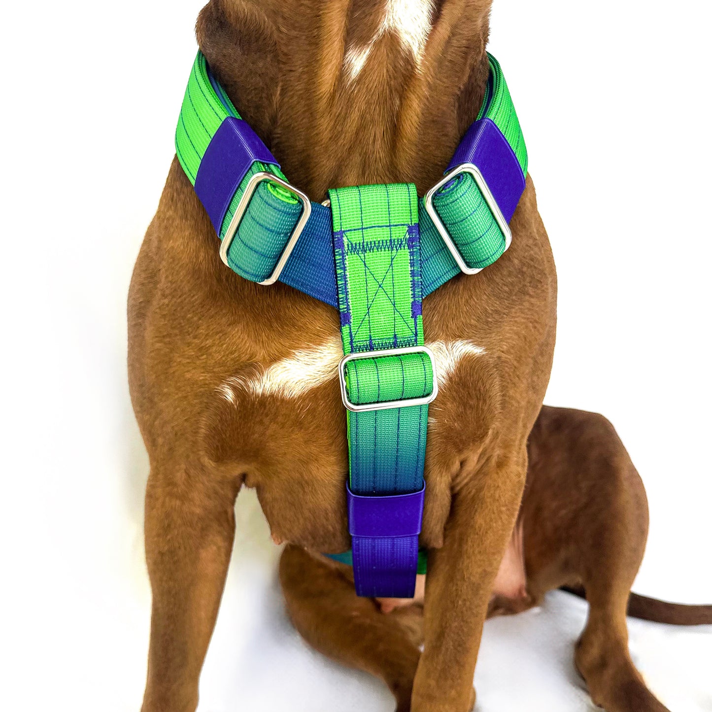 Gradient Harness