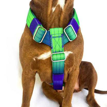 Gradient Harness