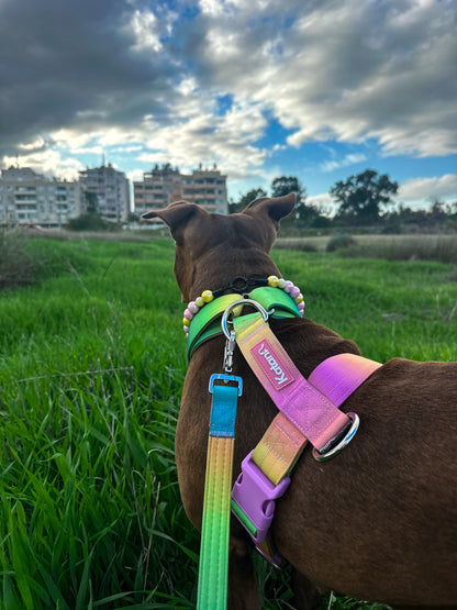 Gradient Harness