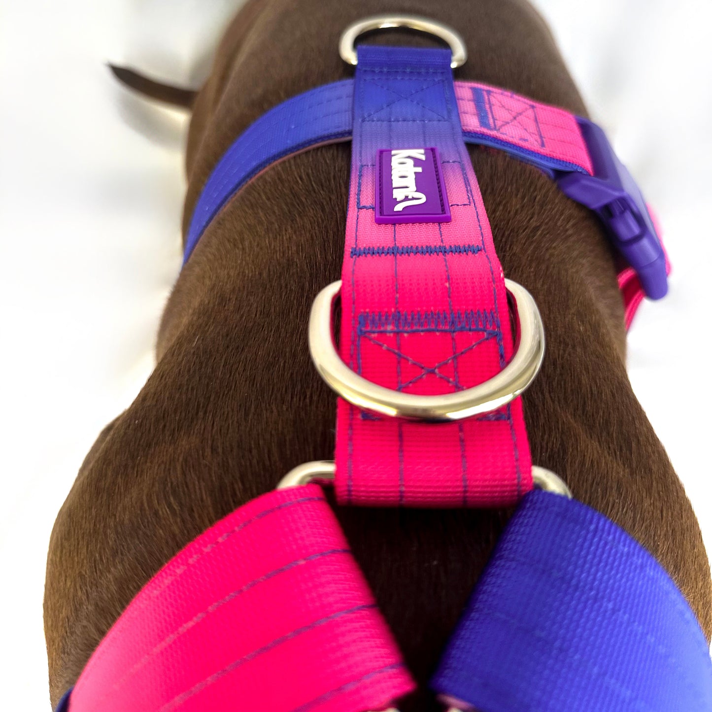 Gradient Harness