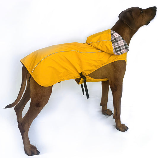 Rain Jacket - Water Resistent Jacket