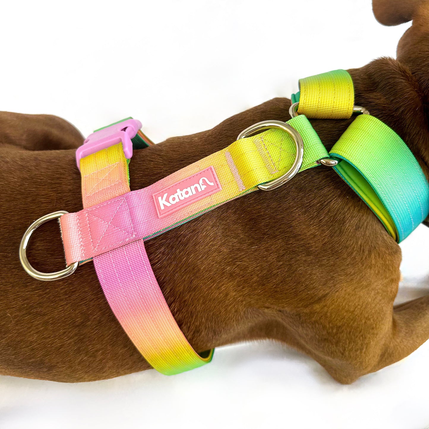 Gradient Harness