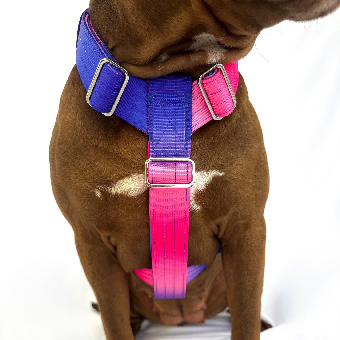 Gradient Harness