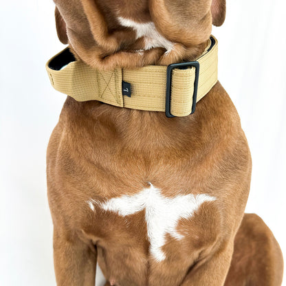 Tactical Collar