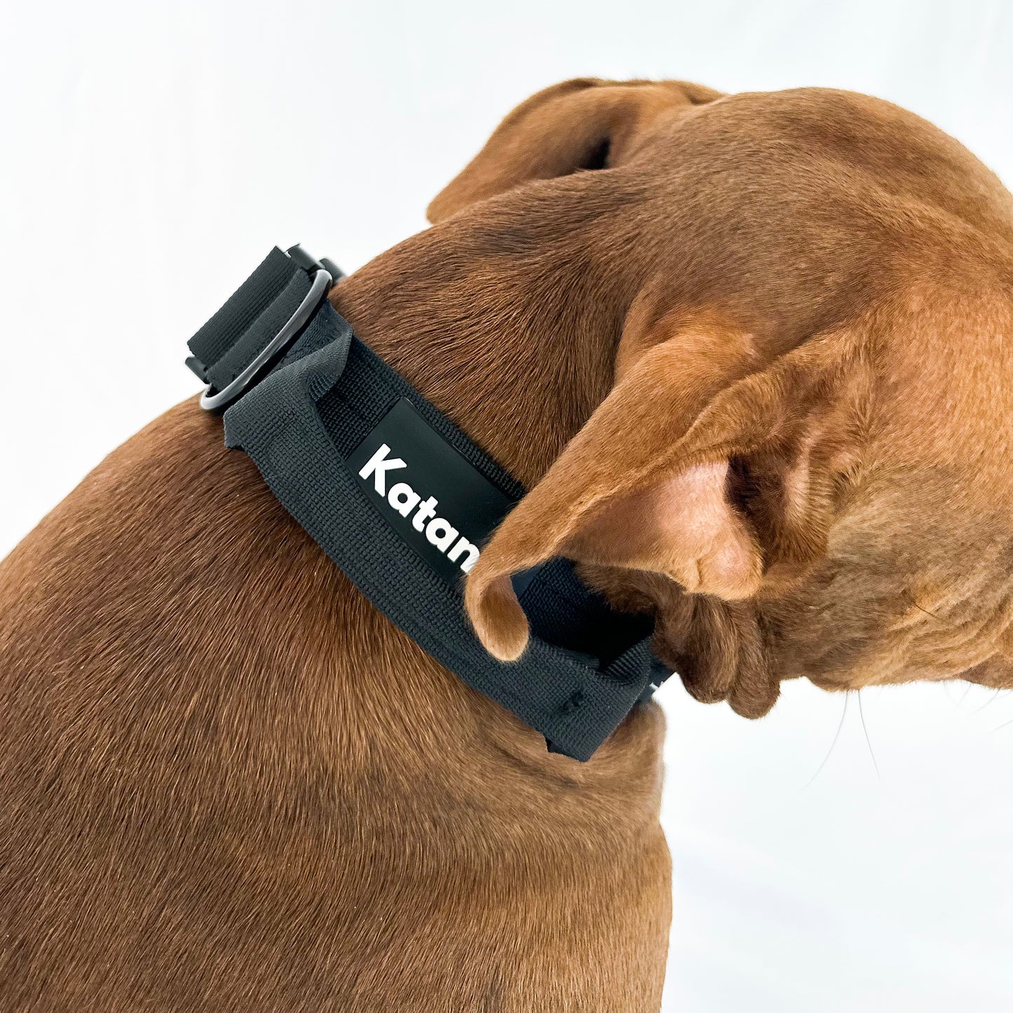 Tactical Collar