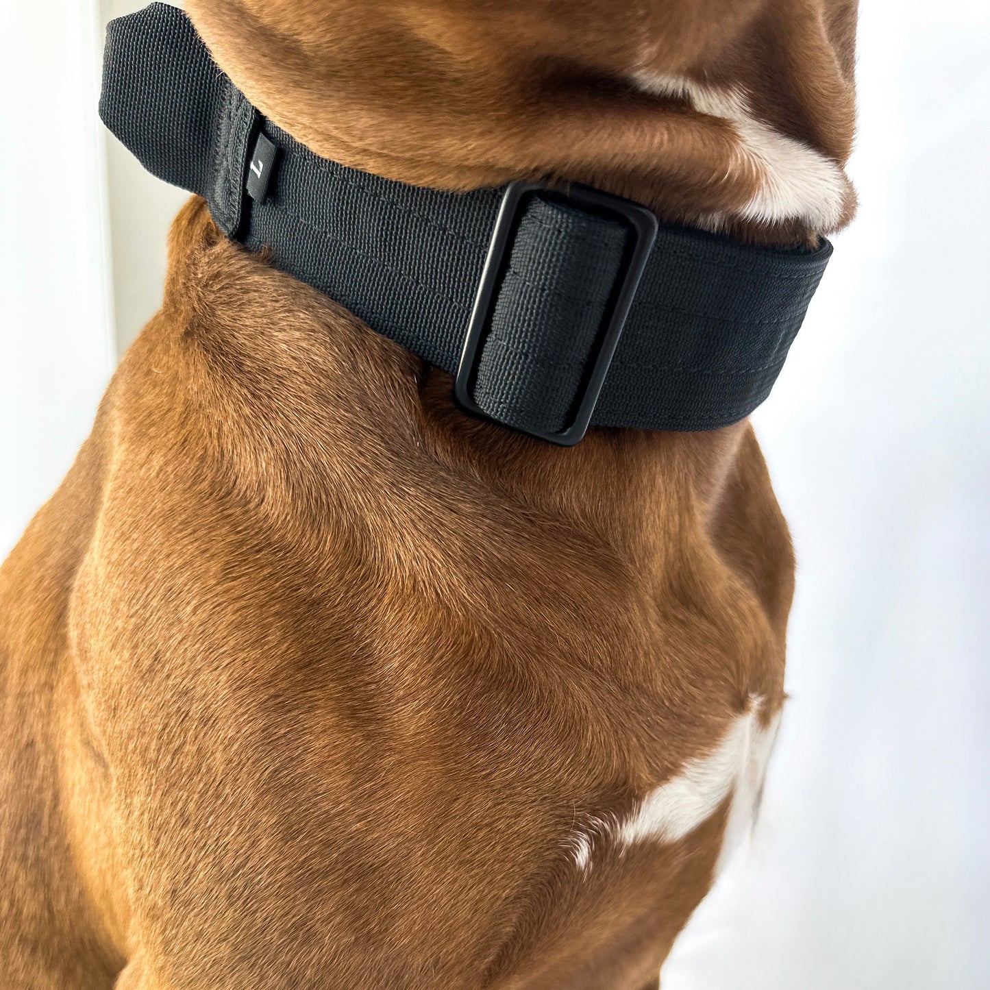 Tactical Collar