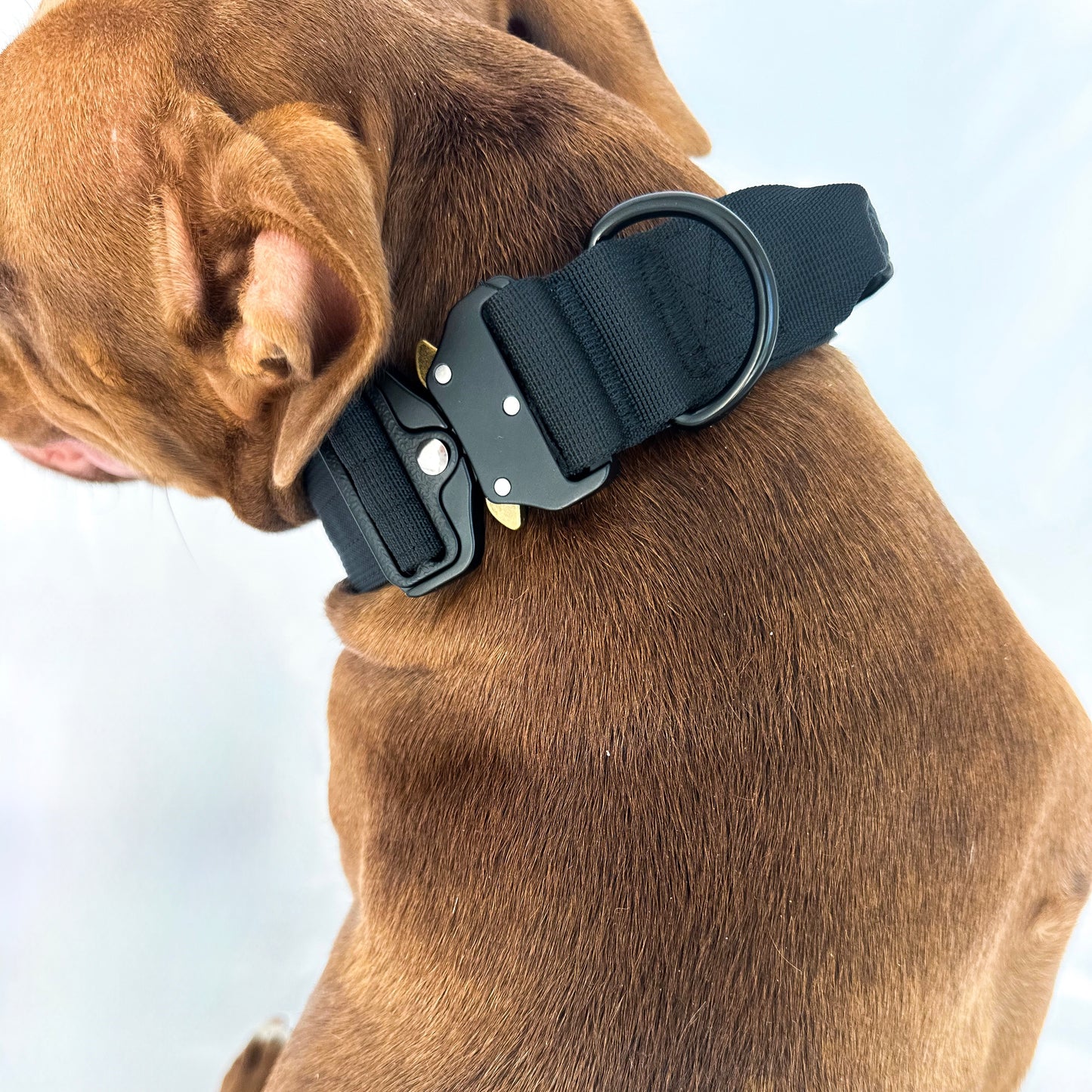 Tactical Collar