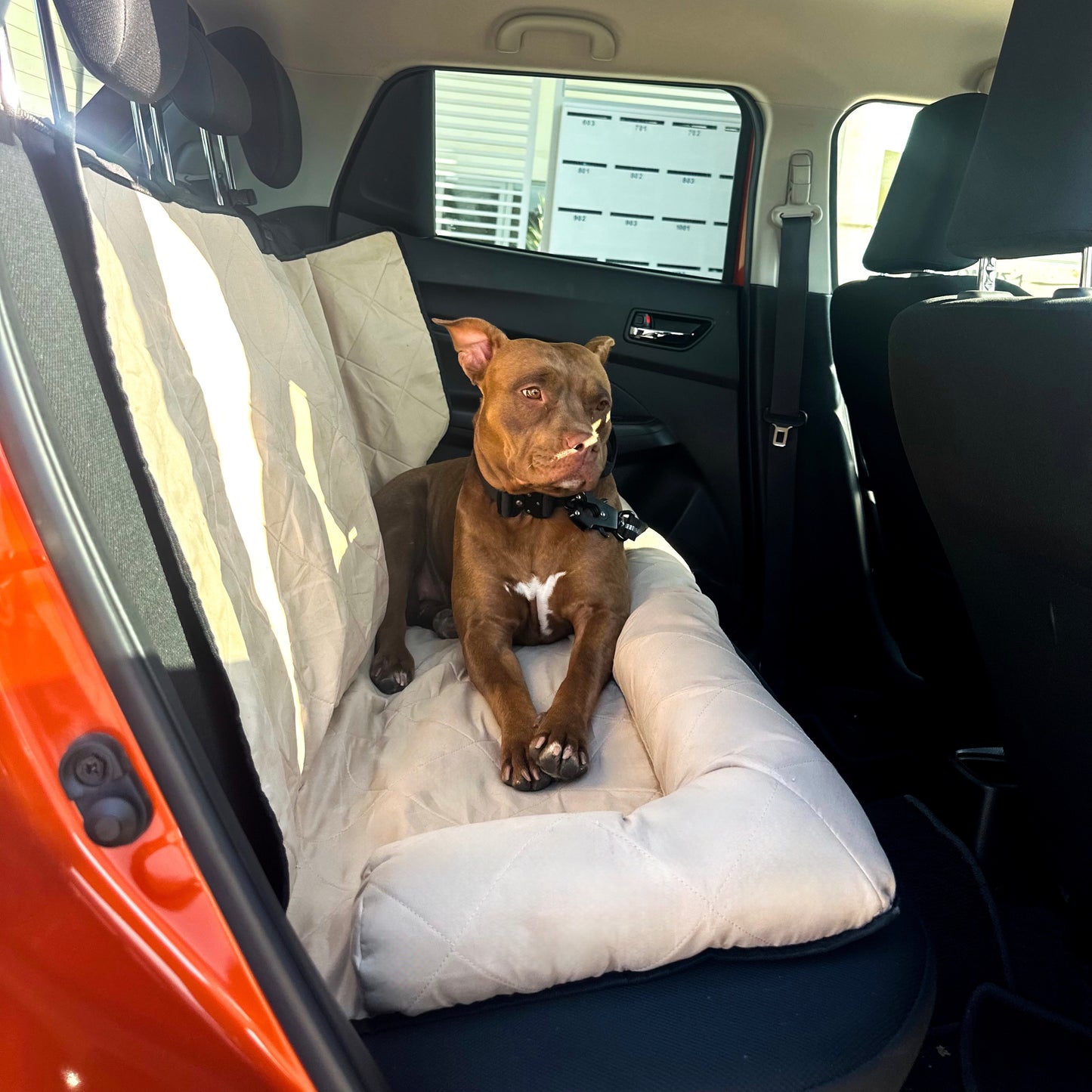 Car Seat Cover